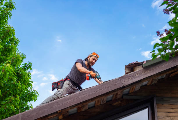 Best Storm Damage Roof Repair  in Sutton, NE